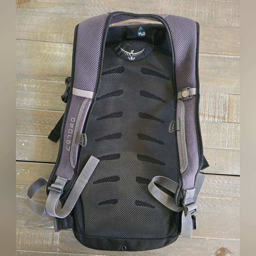 Osprey Black Daylight Backpack Missing Straps - image 2
